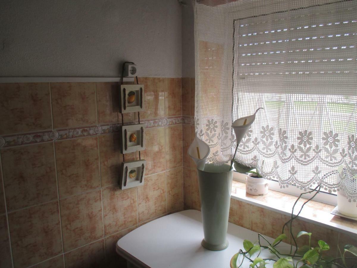 Apartment Antonio Augusto *